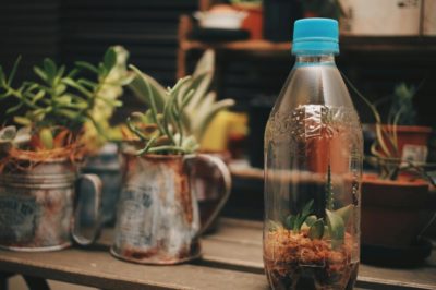 Photo by mk10さん@GreenSnap