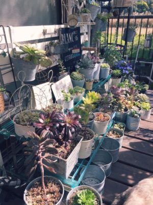 Photo by ぽんぽんさん@GreenSnap 