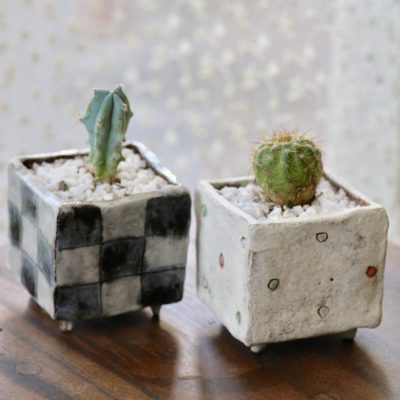 Photo by kurageさん@GreenSnap 