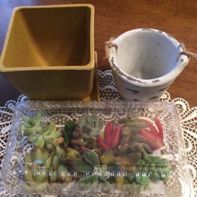 Photo by kazu0905さん@GreenSnap