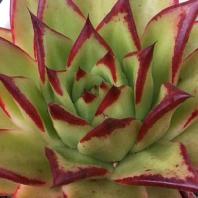 Photo by Green M'sさん@GreenSnap