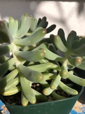 Photo by 華さん@GreenSnap