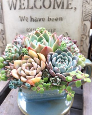 Photo by bikkeさん@GreenSnap