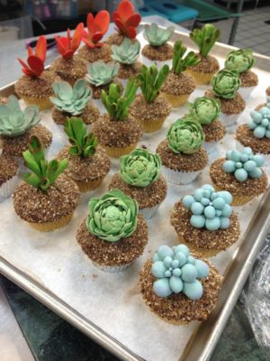 c356926c039fa4cf6e64f8eb2a168456