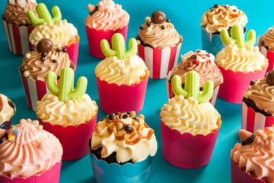 9b95a32ce85cd24e21b88749b49d6d21