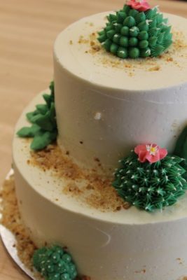 a269bcde9c7f0dcf3dcc0d3172096b82