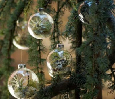 538d5f6f08448c004cb883a81b223854