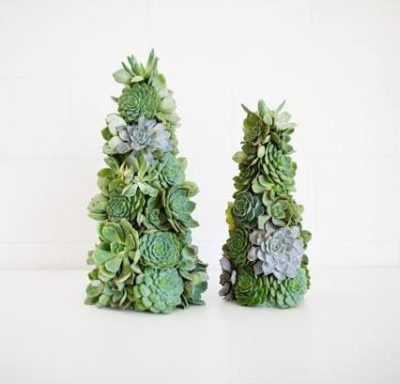 ac3662fc67853b1c1e5471673fe947ca