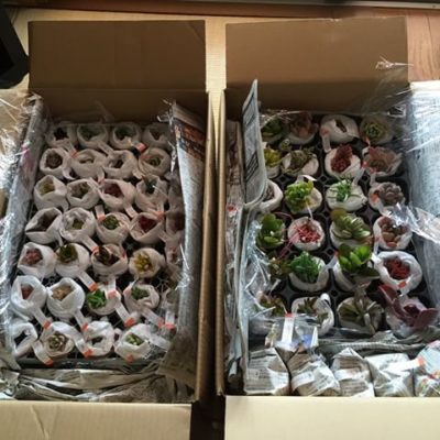 出典元：Instagram