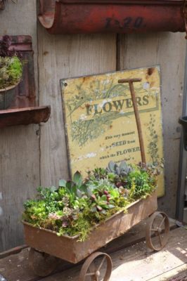 Photo by beedamaさん@GreenSnap