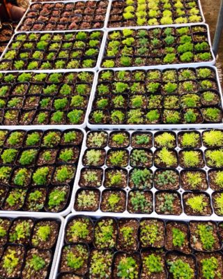 Photo by マツダタカシさん@GreenSnap