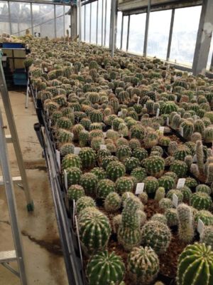 Photo by ティナさん@GreenSnap