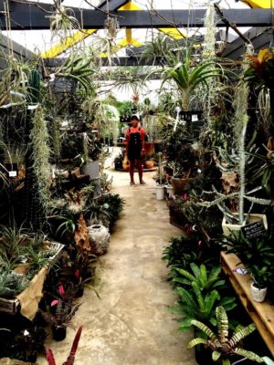 Photo by rourinさん@GreenSnap