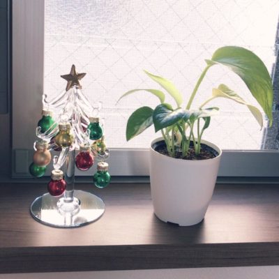 Photo by ちゃんこさん@GreenSnap