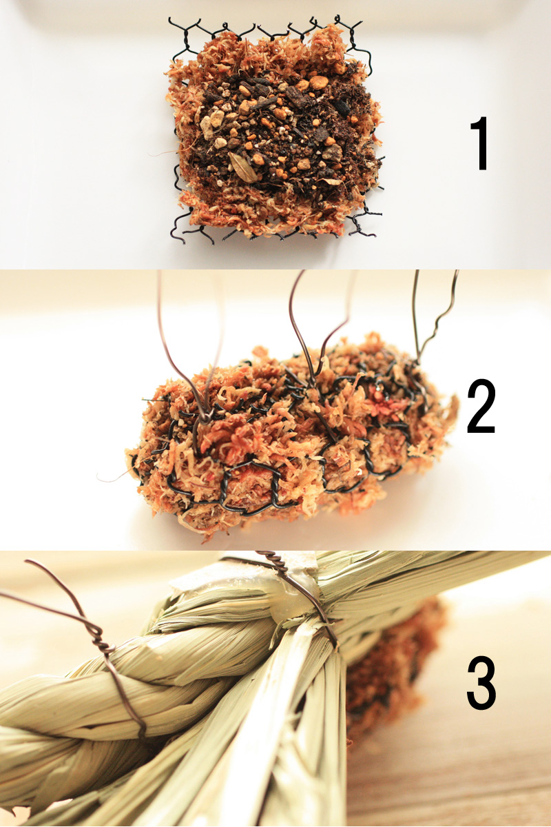 a_piece_of_dream-shougatu6