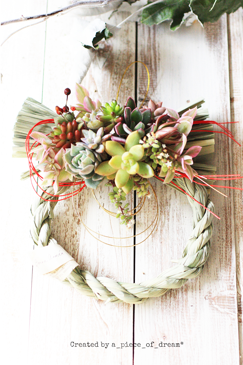 a_piece_of_dream-shougatu6