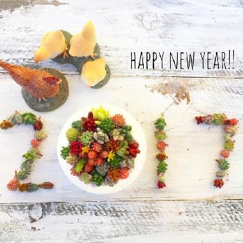 1483223252014_thum_1483223251557_thum_tmp