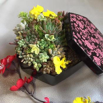 1483237056439_thum_1483237055924_thum_tmp