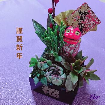 1483197791591_thum_1483197791103_thum_tmp