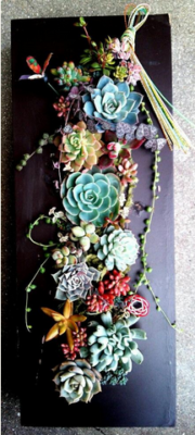 スクリーンショット 2017-01-05 22.26.41