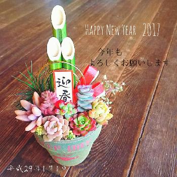 1483399862050_thum_1483399861616_thum_sample