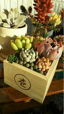 スクリーンショット 2017-01-05 22.30.01