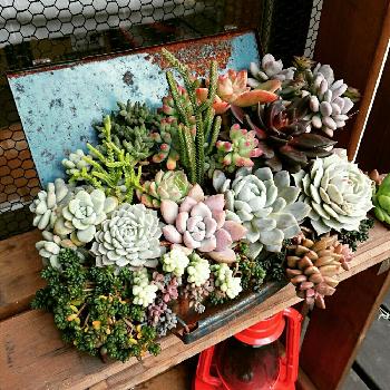 1482389608639_thum_1482389608124_thum_sample