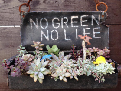 スクリーンショット 2017-01-13 12.14.50