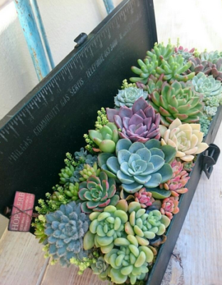 スクリーンショット 2017-01-13 12.22.49