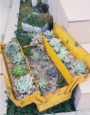 スクリーンショット 2017-01-13 12.24.33