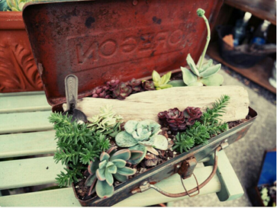 スクリーンショット 2017-01-13 14.26.23