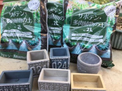 セダムに適した土とは Greensnap グリーンスナップ