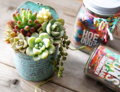 Photo by mayuno（I.V.Ｇarden）さん@GreenSnap