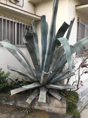 Photo by fcdさん@GreenSnap