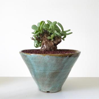 Photo nao03by さん