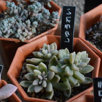 Photo by しゃけさん