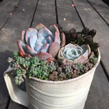 Photo by minoshiさん