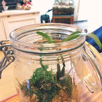 Photo by 犬とチョコレートさん