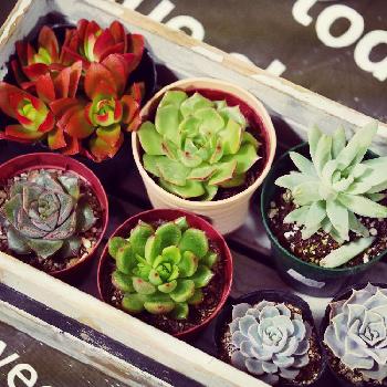 Photo by Riokoさん