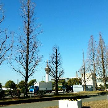 Photo by mihohoさん