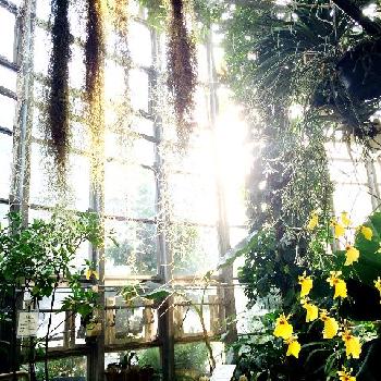 Photo by うささん