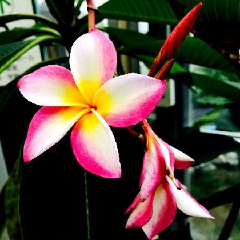 Photo by うささん