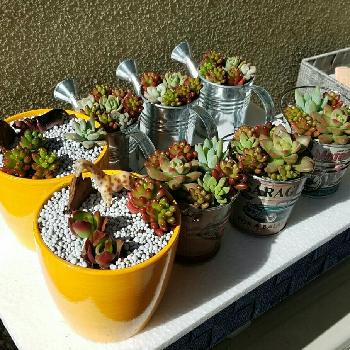 Photo by まるさん