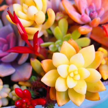 Photo by あーちゃん。さん