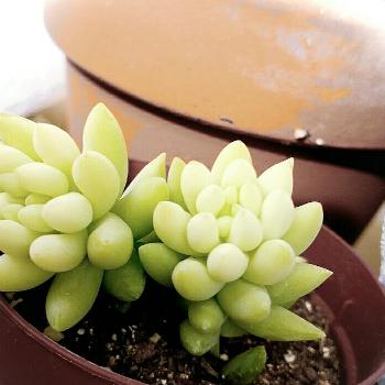 Photo by ｅmｉさん