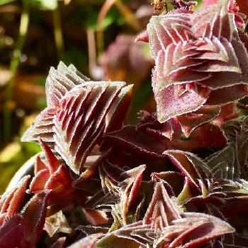 Photo by さっちゃんさん