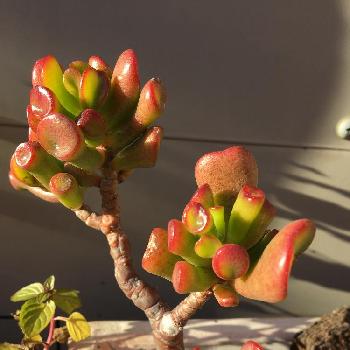 Photo by cherry*さんさん