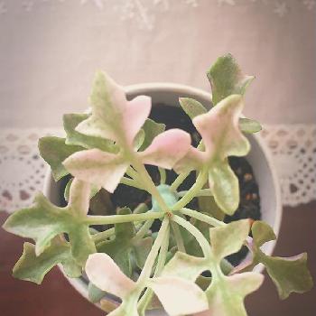 Photo by emptyさん