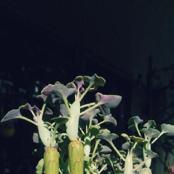 Photo by ゆんくんさん