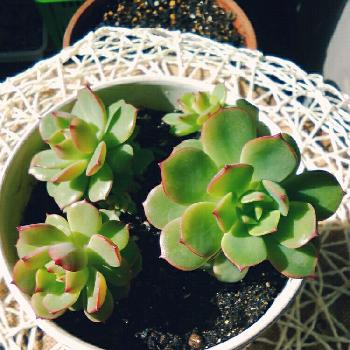 Photo by BCR ×××さん